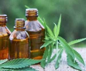 cannabisoil 300x247 - 5 Benefits of CBD Oil