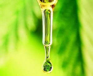 cbdoil 300x247 - Hemp Refinery