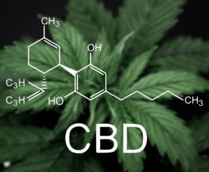 is 190703 cannabidiol marijuana 800x4501 300x247 - CBD Reviews and Coupons – Why It’s Important to Do Your CBD Research